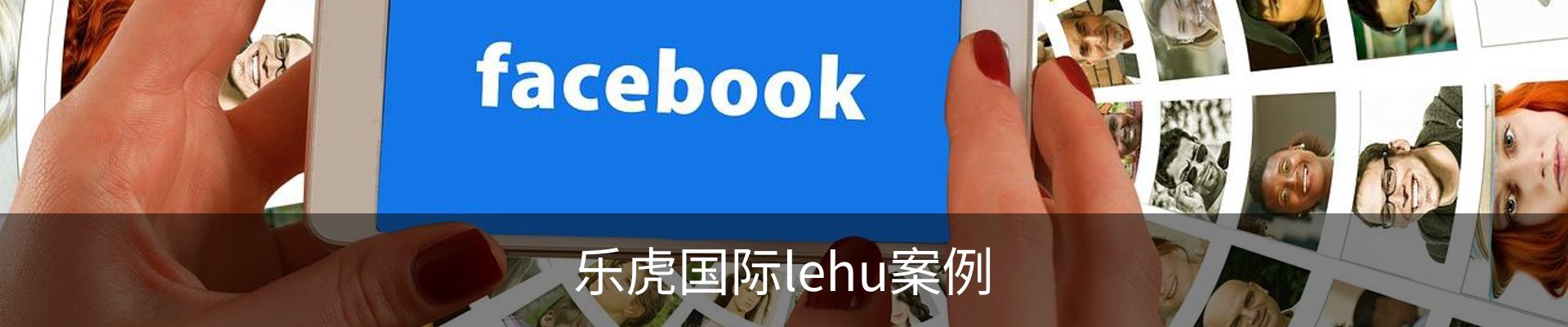 乐虎国际lehu案例